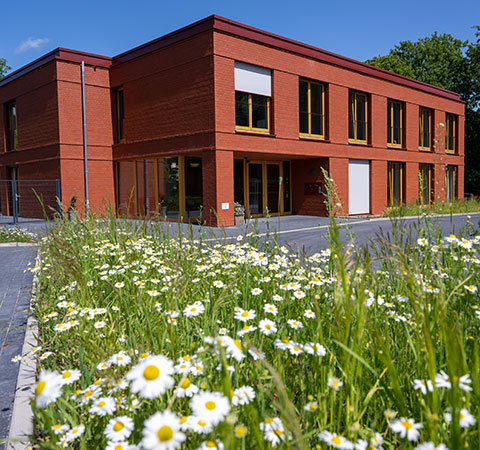 rotes Klinkergeb�ude vom Hospiz Haus Zuversicht mit Margariten im Vordergrund